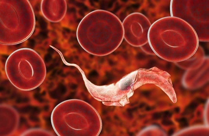 9267284e7733f4bec00d2e114d3f3ba1