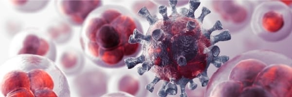 95a78f3015bd19286b33c65657114fc4